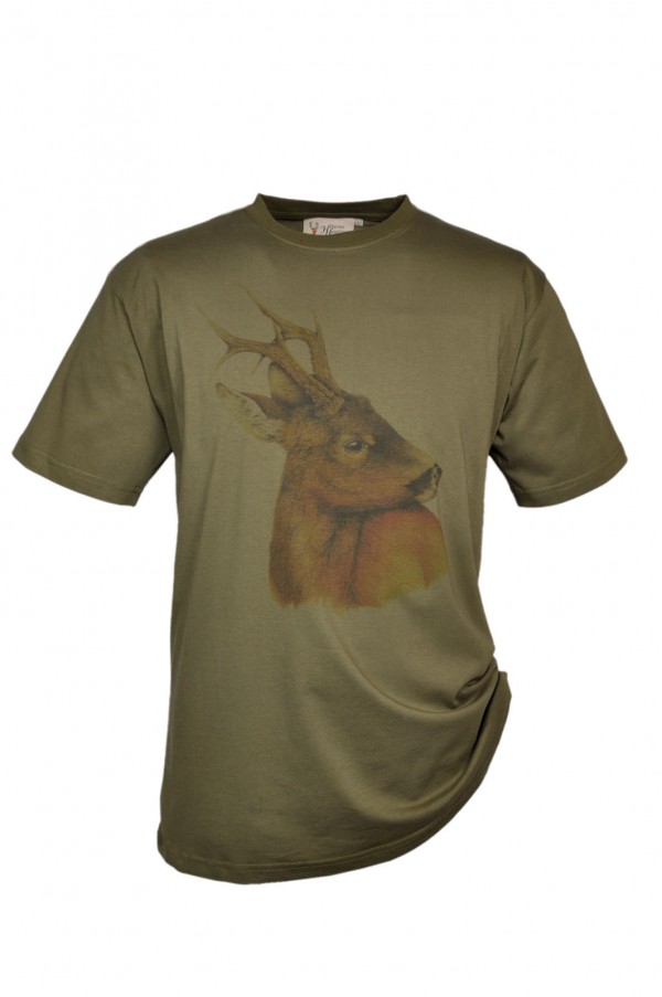 _wpframe/_wpf.img.php?wpf_pic_id=13683&wpf_pic_thumbmode=1