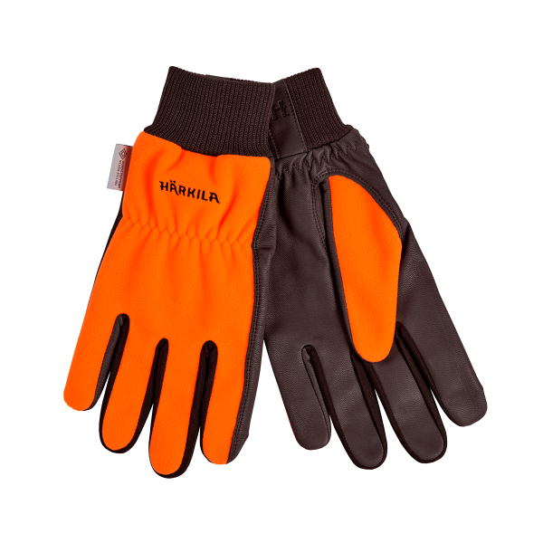 _wpframe/_wpf.img.php?wpf_pic_id=14337&wpf_pic_thumbmode=1